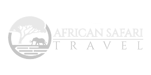 Cliente_Beamuc_Creative 3a